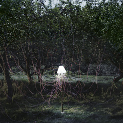 You're Wondering (Applescal Remix)