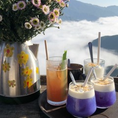 sao con tim mai van cho