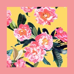 [FREE] Frank Ocean x Clairo Bedroom Pop Type Beat - "GOODBYE" (prod. Fantom) | fantombeats.com
