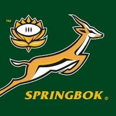 Springbok journey through time and World Cups
