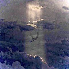 * throwaway song ** [prod. dollatega]