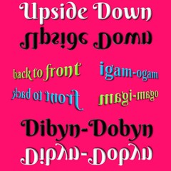 Dibyn-dobyn / Upside Down