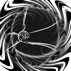 Singularity Distortion