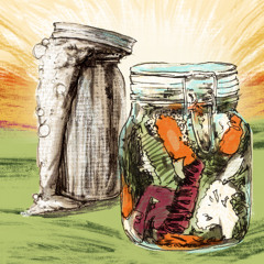 Ep. 038 – Fermentare și foraging: reînvățarea unor moduri non-capitaliste de a trăi, cu Beti [RO]