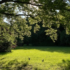 house 'n classics___mix