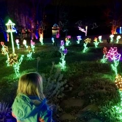 Wonderful Time Of The Year