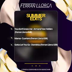 Armand Van Helden - You don't Know Me (Ferran Llorca Edit)