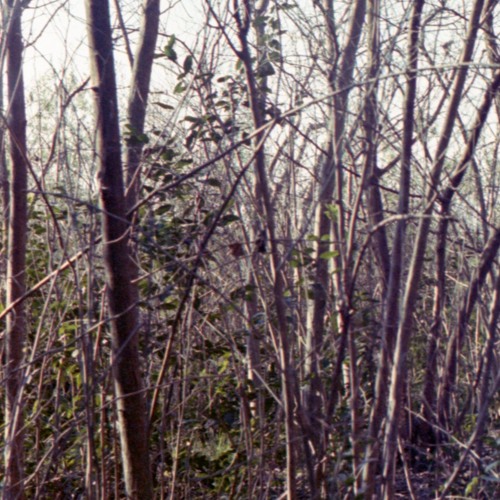 caminar en la reserva