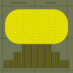 Brainwave Research Center - Orange Drop