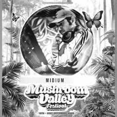 Mushroom Valley - Sunday Morning - River Stage - mIDium (SSAS)