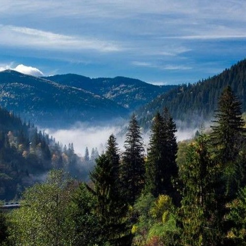 Свято миколайчика