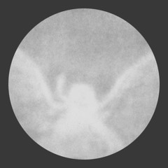 THE WRONG WAY (w/o electric guitars)