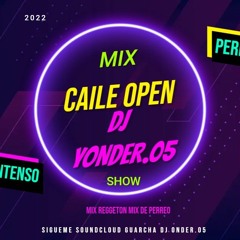 reggeton perreo intenso @guaracha dj yonder.05 caile open mix 2022🍀🤑