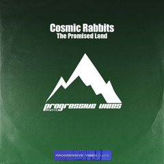 Cosmic Rabbits - The Promised Land [Progressive Vibes Dark - PVM918D]