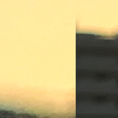 Dog Days 4 Cool Cats w/ Funkage 110824