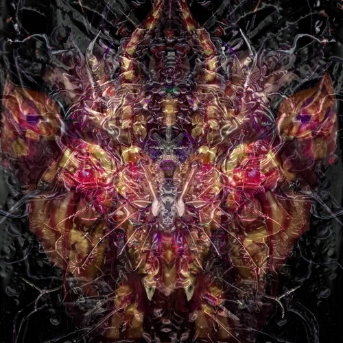 Dogsattack - Linear Chaos