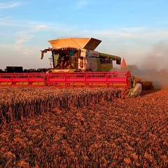 Landwirt aus Leidenschaft