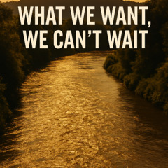 What we want, we cant wait