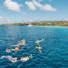 Review Special Price Klein Bonaire Marine Park Snorkeling Excursion