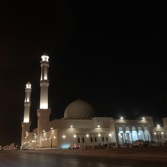 القارئ بدر التركي