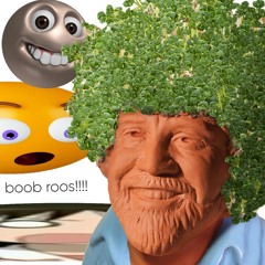 boob roos (PROD.BLDSTAIN)