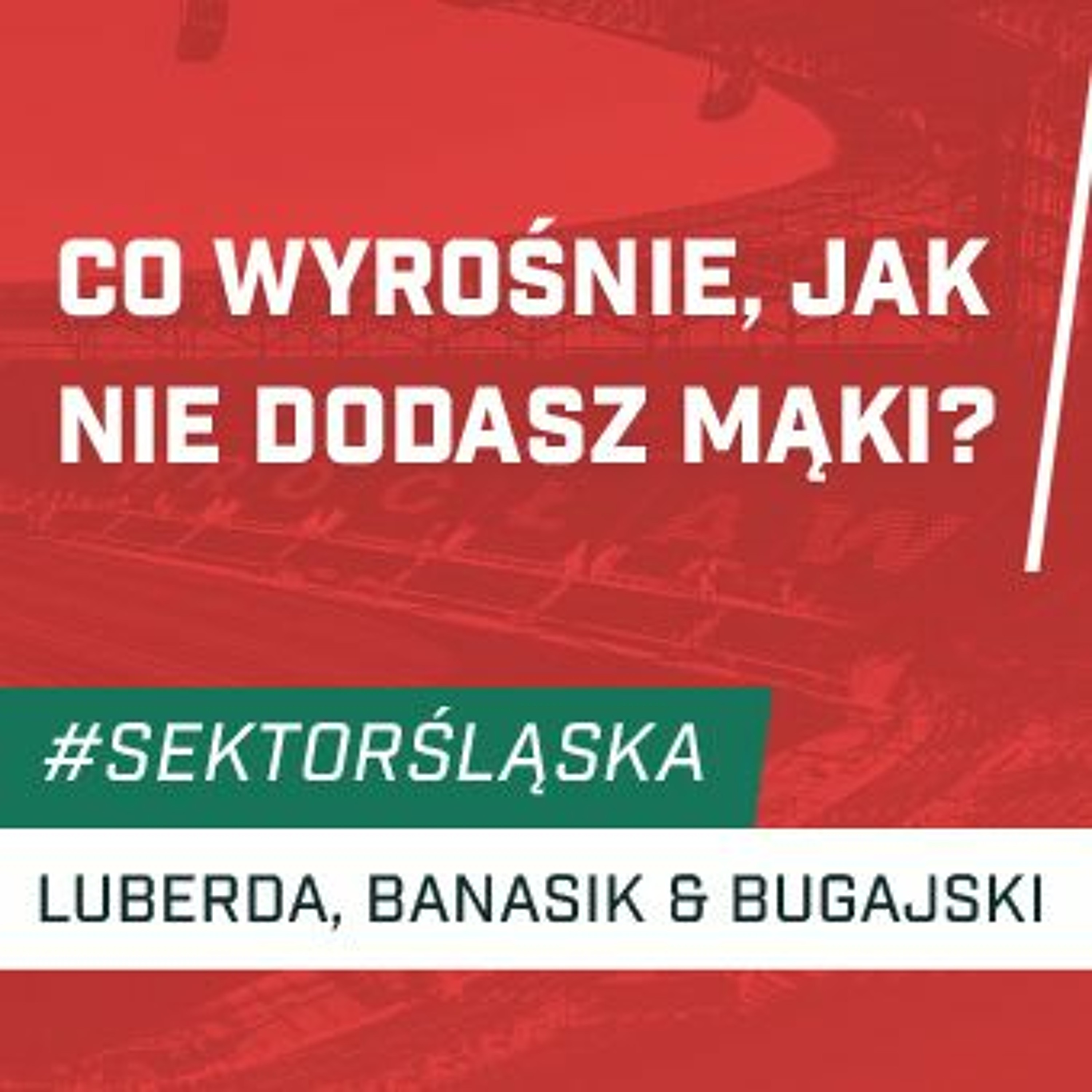 Śląsknet