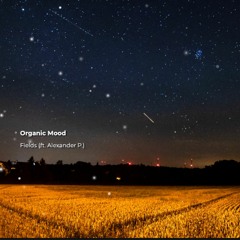 Organic Mood x Alexander P. - Fields