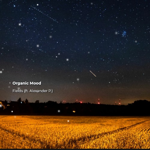 Organic Mood x Alexander P. - Fields