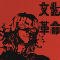 SKYTE - DESTRUCTO DISK w_ VOODOOCHILD (PROD. WYDSTEPBRO