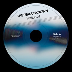 the real Unknown - Walk (Original Mix)
