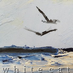 'White Cat'