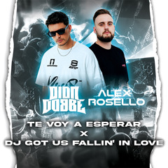 Te Voy A Esperar x Dj Got Us Fallin' In Love (Dion Dobbe x Alex Rosello Mashup) [Free Download]