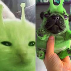 The Tale of Vorp and Geeble