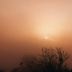 YONLAPA(original by Itsya)-ทะเลดาว​ (COVER)