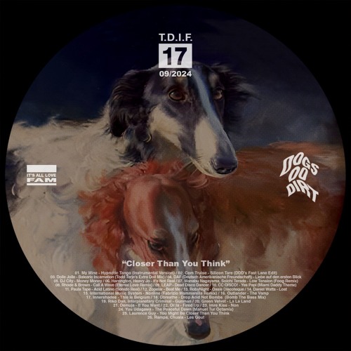 Closer Than You Think (T.D.I.F. #17)