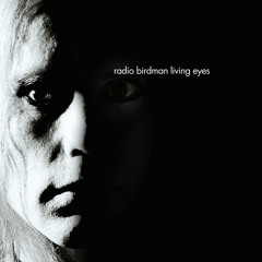 Dark Surprise (Remixed)