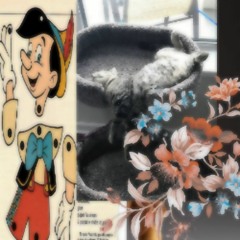 so tenho amor do gato