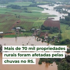 Mais de 70 mil propriedades rurais foram afetadas pelas chuvas;  Cepea divulga valores do Leite