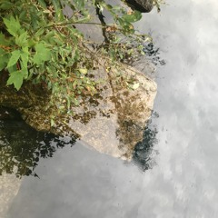 Honour Thy Error as a Hidden Intention