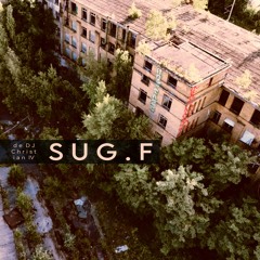 SUG.F DJset teaser de Christian IV (F) @ munich 24082024