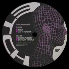 Premiere: Etch - Loose in the Asylum