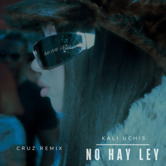 Kali Uchis - NO HAY LEY (CRUZ REMIX)