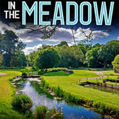 [VIEW] EPUB ✏️ MURDER IN THE MEADOW a gripping crime mystery full of twists (DI Hilla