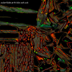 scalar field pt 8: hide and Seek ---Sonic Structures and Silent Stretches