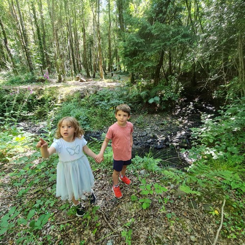 Nights in White Satin (A Rendition of the Moody Blues Original track 1968)