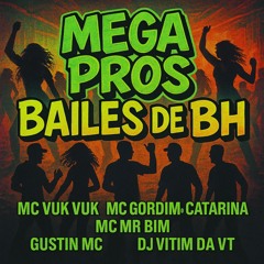 MTG PROS BAILES DE BH - VEM 🐸 - MC VUK VUK ,MC MR BIM, MC GORDINHO, GUSTIN MC =DJ VITIM DA VT
