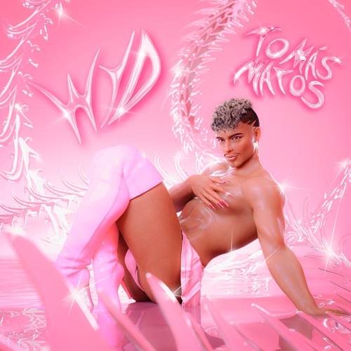 TOMÁS MATOS: The WYD Mixtape(On Periodt Party Mix)