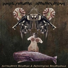 dinAzor - Irregular (VA Past Future) complied by Metacortex Records & Minuteless Recordings