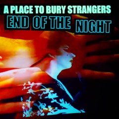 A Place To Bury Strangers - End Of The Night