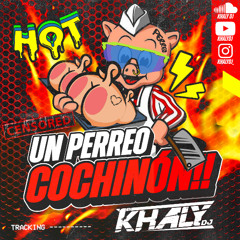 Un Perreo Cochinón